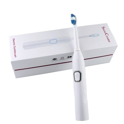 Hot Sale IPX-7 Level Waterproof Automatic Toothbrush with Charging Stand